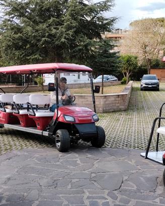 Golf cart elettrici 8 posti – Ideali per tour turi