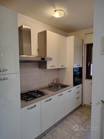 Bilocale arredato nuovo