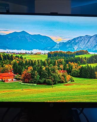 Monitor PC HP 22w 21.5" Full HD IPS