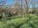 ter-agricolo-a-santa-marinella