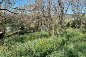 TER. AGRICOLO A SANTA MARINELLA