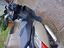 Immagine 3