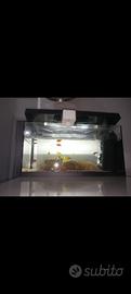 Acquario 60lt