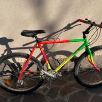 Bici Rossin