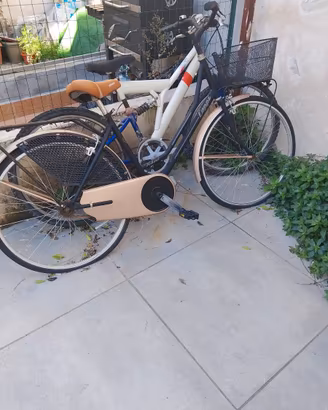 biciclette