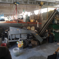 Cerni Olive a scoppio, con il nastro