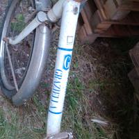 Graziella da uomo / donna 