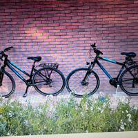 coppia di biciclette