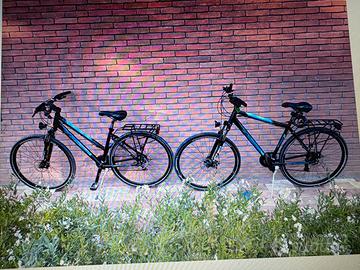 coppia di biciclette