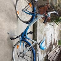 Bicicletta maschile in perfette condizioni