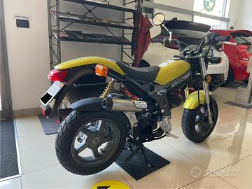 Suzuki 50 Street Magic