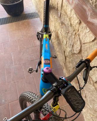 Mtb 29