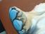 Immagine 3