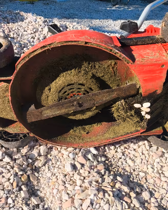 rasaerba Einhell elettrico 