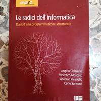 Libro universitario ingegneria informatica