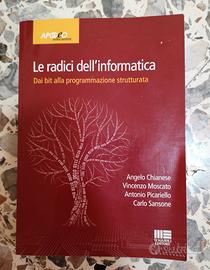 Libro universitario ingegneria informatica