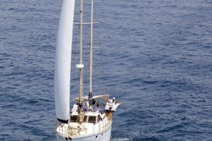 Barca vela