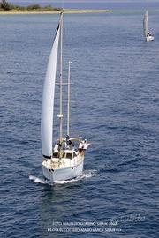 Barca vela