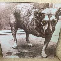 Vinile Alice in Chains