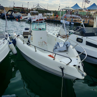 Open Aquamar Samoa + Mercury efi 40+ carrello