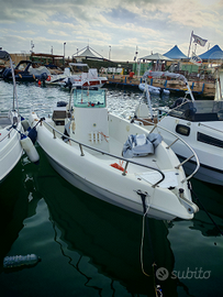 Open Aquamar Samoa + Mercury efi 40+ carrello