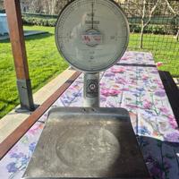 bilancia 0-5 kg professionale