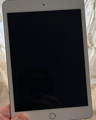 ipad mini 5