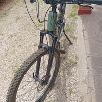 E-BIKE FOCUS