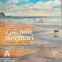 Il più bello dei mari. Con Corso di scrittura