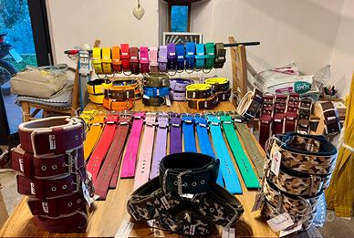 Collari per Terrier di tipo Bull “El Perro”