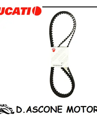Coppia Cinghie dentate Monster ORIGINALI , Multist