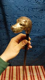 Antico Bastone Da Passeggio Tedta Di Cane Segugio 