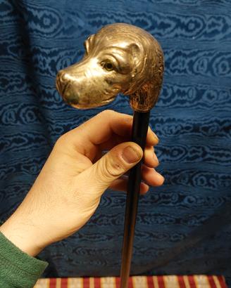 Antico Bastone Da Passeggio Tedta Di Cane Segugio 