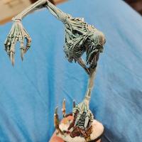 warhammer fantasy the old world conti vampiro