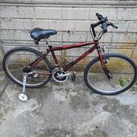 Bicicletta