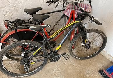 Bici mountain bike