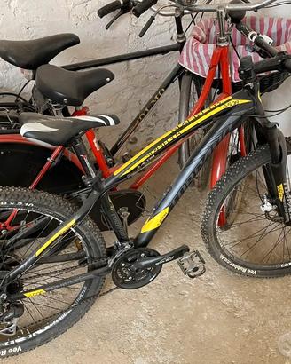Bici mountain bike