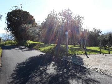 Terreno Edificabile, mq 5440