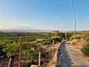 vasto-terreno-con-deposito