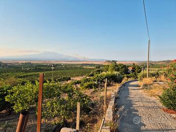 Vasto terreno con deposito