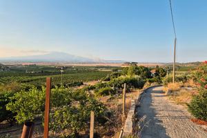 Vasto terreno con deposito