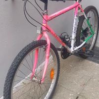 Mountain bike usata