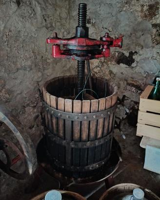 Torchio per uva