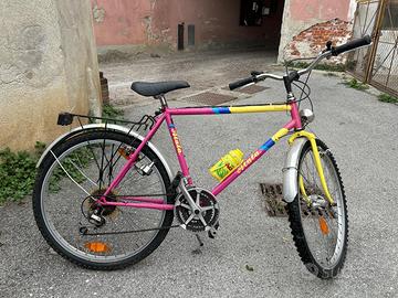 Bicicletta adulto