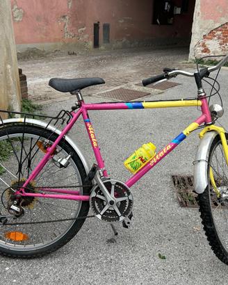 Bicicletta adulto