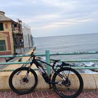 Ebike