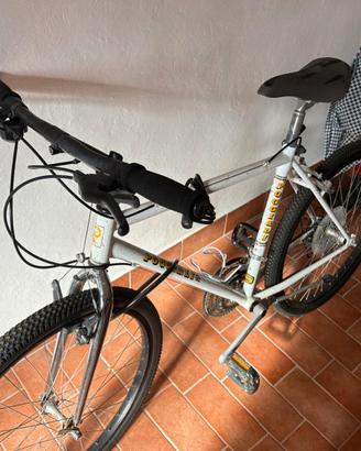 Bicicletta Poggiali