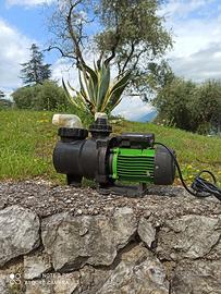 Swimming Pool Pump – HYDRO-Pro
