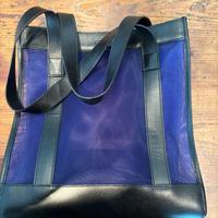 Gucci borsa blu trasparente.
