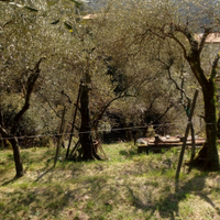 Terreno agricolo Muggiano La Spezia